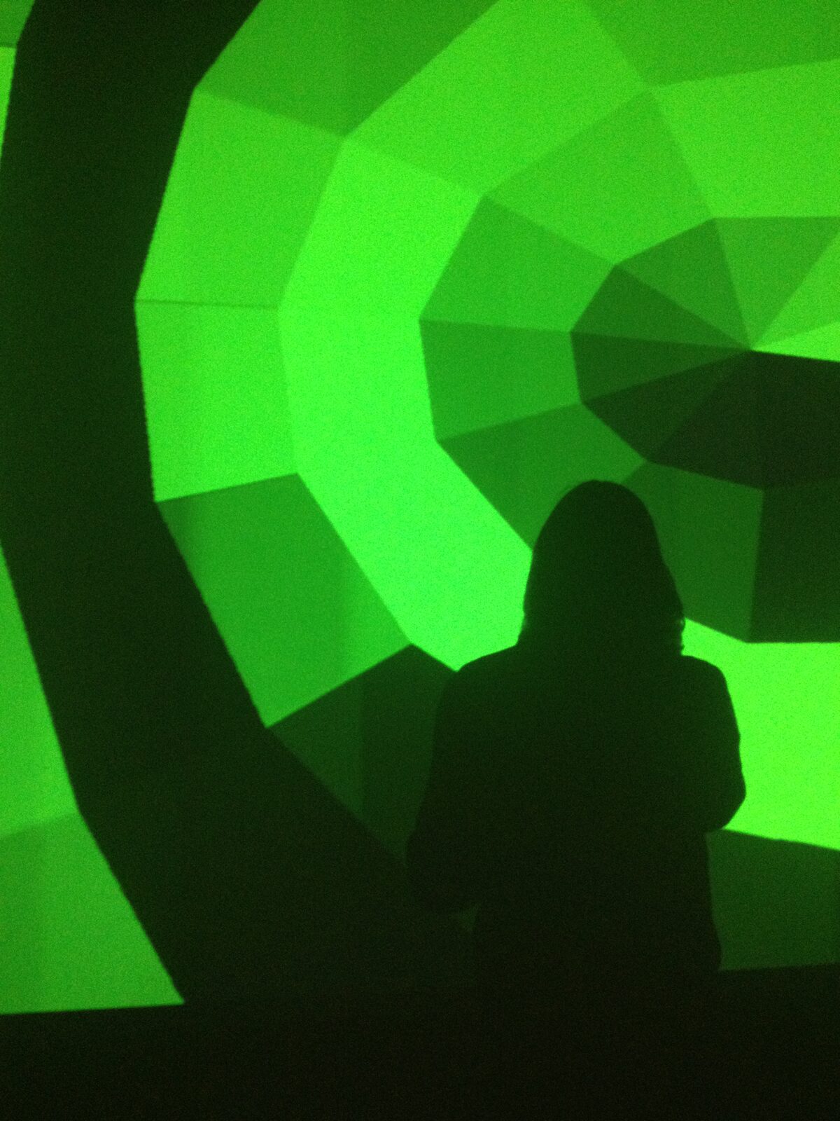 A person silhouetted against a green faceted projection